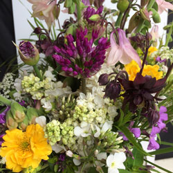 early summer arrangement with alliums, sweet rocket, aquilegia and white lilac