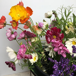 cosmos, sweet peas, poppies and lavender arrangement