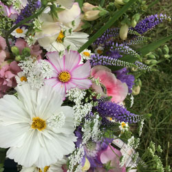 cottage garden arrangement including cosmos, foxglove and linaria
