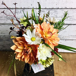 Mid-October arrangement with dahlias, cosmos, nicotiana, rosemary