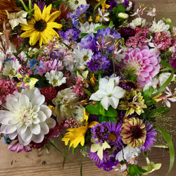 jewel colours in a carpet of October flowers