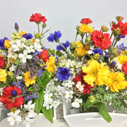 jam jar arrangements of brightly coloured early summer blooms